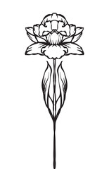 plants flower vintage hand drawing