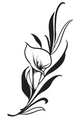 plants flower vintage hand drawing
