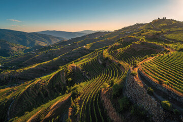 Robot Harvesting Community Engagement Strategies