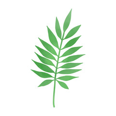 Tropical Leaf – Vivid Green 10 (Transparent PNG)
