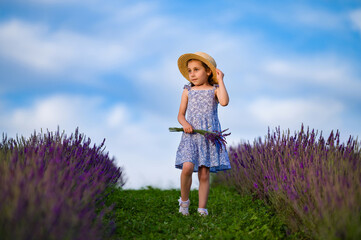 Girl in a straw hat walks through a lavender field, holding a bouquet of flowers. A summer day's...
