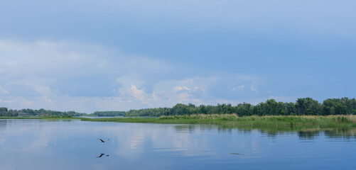 heron flying over a river against a blue sky