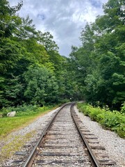 railway to the woods