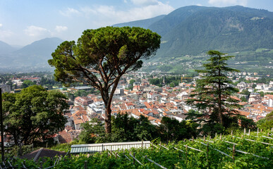 Blick auf Meran, Südtirol