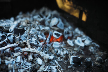 Ashes from wood in a burnt fire