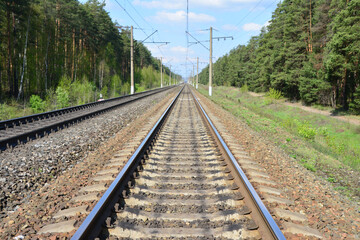 an empty Railroad Tracks Through a Forest going to horizon travelling