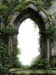 Ancient stone archway overgrown with verdant foliage offering a glimpse of boundless possibility