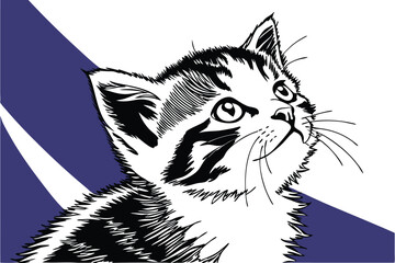 Adorable fluffy kitten with big eyes looking directly at the camera