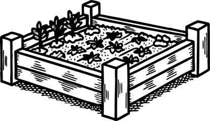 Raised wooden garden bed illustration with young vegetable seedlings hand drawn square planter box for home gardening