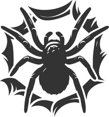 Spider vector silhouette