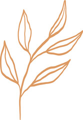 Line Art Botanical Leaf Element