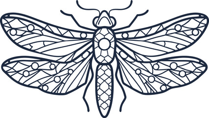 Intricate dragonfly line art detailed insect illustration with geometric patterns and symmetrical ornamental wings
