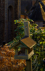 A wooden birdhouse illuminated by the light of dawn in a rustic garden with historic buildings and a church in the background.