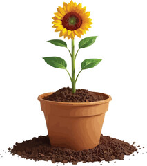Realistic sunflower  plant