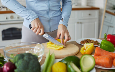 Closeup portrait of female hands cutting pepper with knife preparing fresh healthy vegan salad with vegetables standing in the kitchen at home. Vegetarian food, diet and nutrition concept.