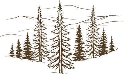 Pine trees forest outline illustration hand drawn evergreen woodland, mountain landscape, nature drawing