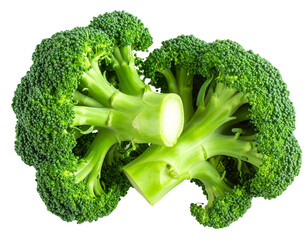 Geschnittener Brokkolistrunk mit freigelegten Röschen, Draufsicht – freigestellt auf transparentem Hintergrund