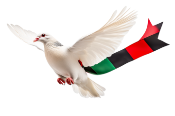 Dove Flying with Ribbon, Red, Black, Green, Isolated, cut out transparent