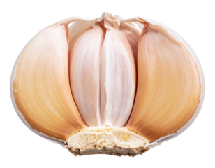  Halbierte Knoblauchknolle mit sichtbaren Innenzehen, Makroaufnahme, transparent PNG