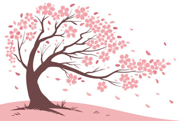Fototapeta premium Beautiful cherry blossom tree in full bloom with delicate petals
