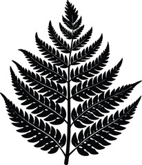 Naklejka premium fern frond silhouette isolated on white background