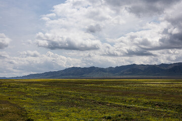 Spring steppe landscape in Kazakhstan with mountains and dramatic cloudy sky
