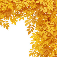 Fototapeta premium Autumn yellow leaves frame isolated on transparent background