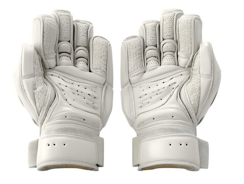 Safe and padded cricket gear isolated shot