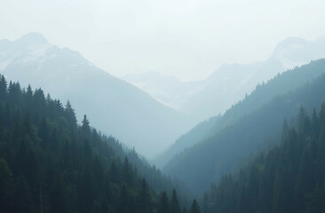 Obraz premium mountains in the fog