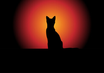 Riesgo de golpe de calor de los animales domésticos. Silueta de un gato sobre un fondo  cálido