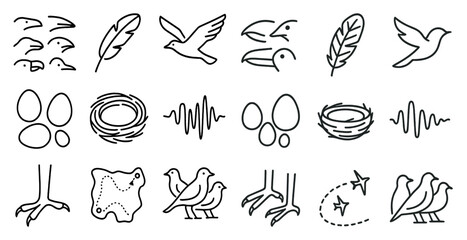 Set of bird icons, including a bird with a nest, a bird with a feather, and a bird with a beak