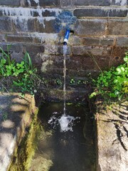 fountain in garden