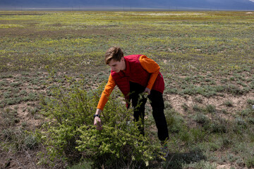 Naklejka premium A young man in a red vest studies a green bush in a wide open steppe field