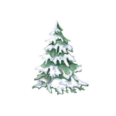 Green Christmas tree under snow. Isolated watercolor illustration for New Year cards, packaging, interior design, printing on clothes and textiles.