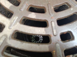 Reflection in a storm drain cover featuring a circular grid pattern 