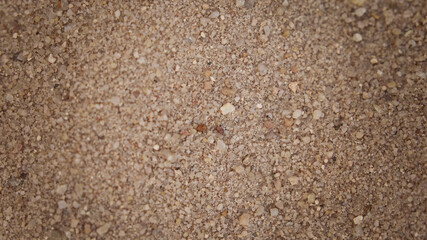 background textures and layers, nature background, macro photography