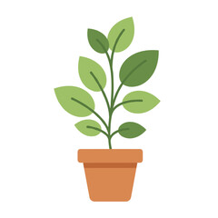 Houseplant in a brown pot with green leaves for indoor decor  