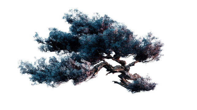 Gnarled branchy tree with detailed foliage, cut out transparent