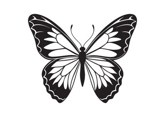 Butterfly Silhouette, Butterfly Vector Illustration