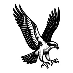 Obraz premium Eagle Landing Illustration Vector Black and White Outline Line Art Drawing Engraving Style Graphic