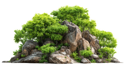 Rocky hillside with green foliage, isolated, cut out transparent
