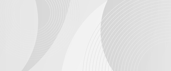 Abstract minimalist white and gray curve modern background. texture white pattern. vector dynamic curve