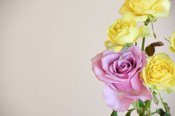 紫と黄色のばら