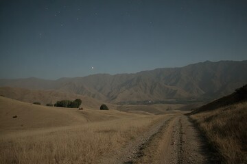 Obraz premium Moonlit mountain pass through dry, golden grassland