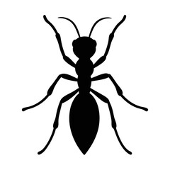Ant silhouette vector, a black animal vector art design, and a silhouette of an ant isolated on a white background