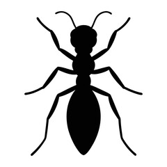 Ant silhouette vector, a black animal vector art design, and a silhouette of an ant isolated on a white background
