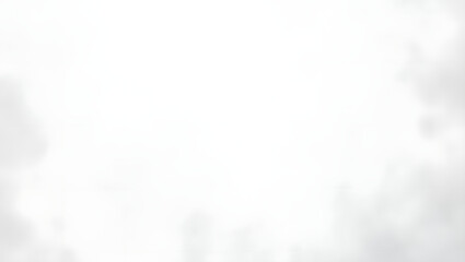 Light gray background with soft textures and thin lines.