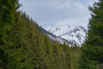 The Fagaras mountains in all their splendor. Amazing landscape with the sharp ridges of the Carpathians on a cloudy winter day