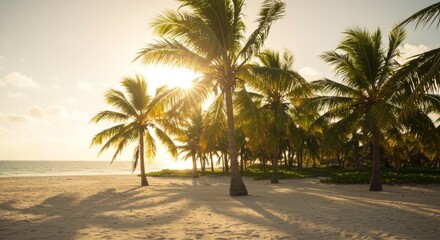 Obraz premium Golden Hour Sunset on Tropical Beach with Palm Trees