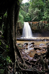 Wild Escape to Cambodian Waterfall
